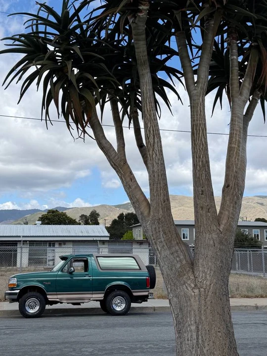 1996 Ford Bronco 5th Gen - Image 5 of 6