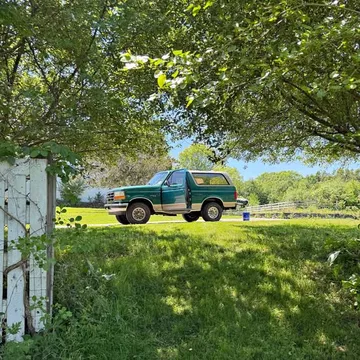 1996 Ford Bronco