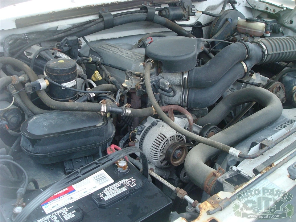 1996 Ford F-Series 9th Gen - Image 21 of 31