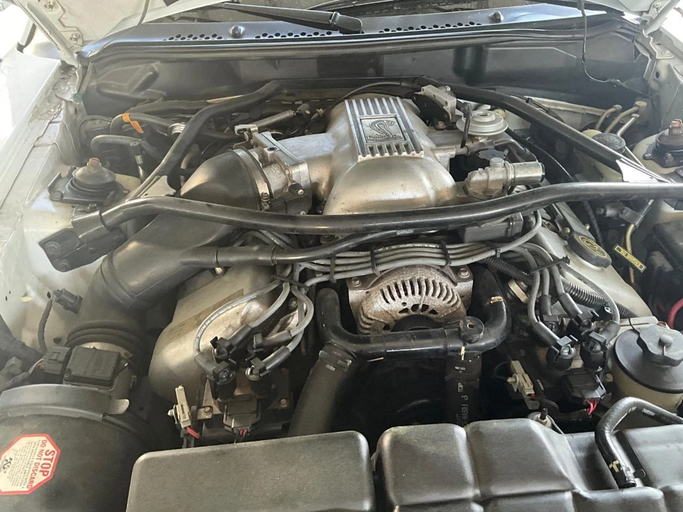 1996 Ford SN95 Mustang - Image 13 of 26