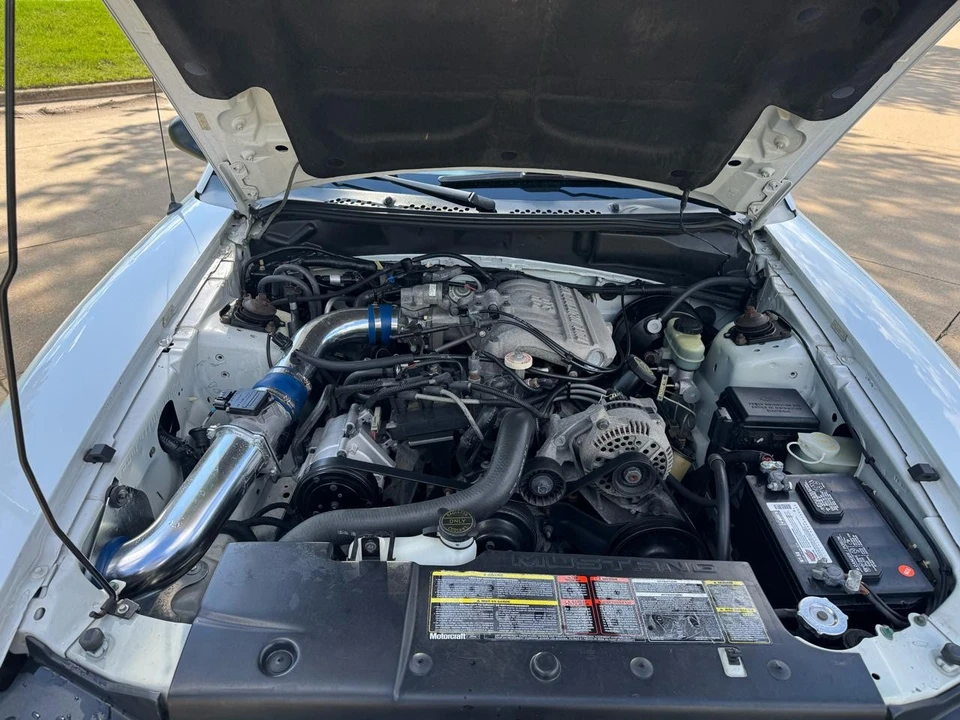 1996 Ford SN95 Mustang - Image 14 of 31