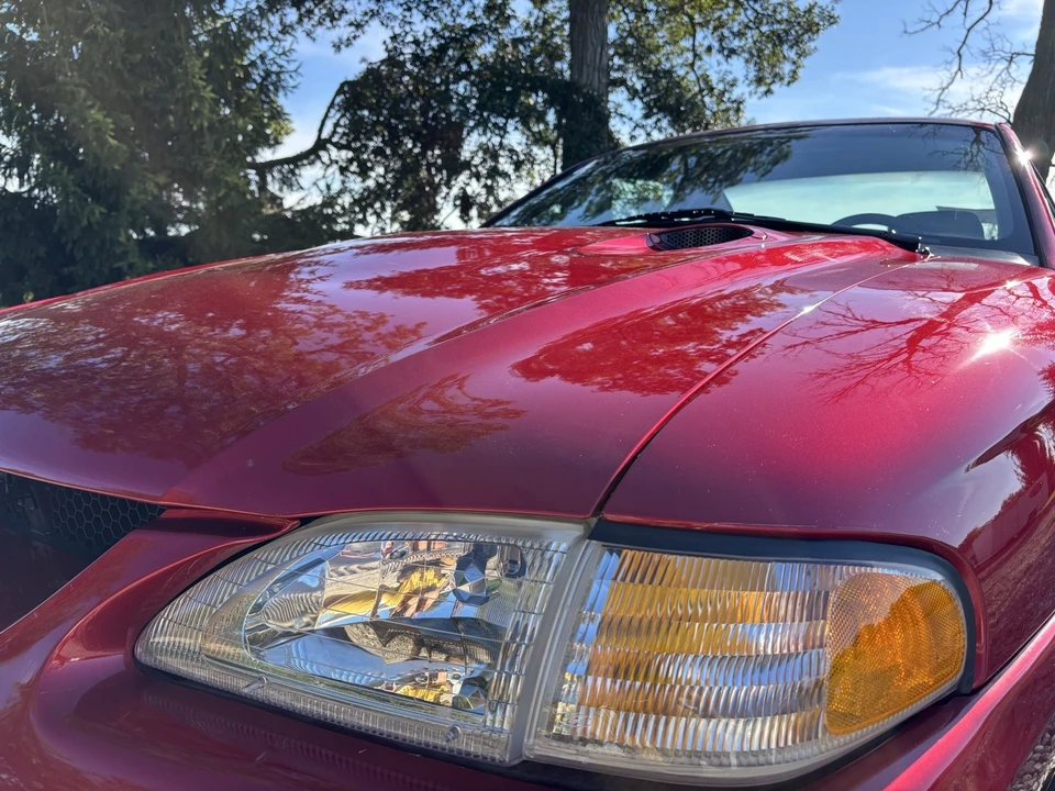 1996 Ford SN95 Mustang Cobra - Image 5 of 24