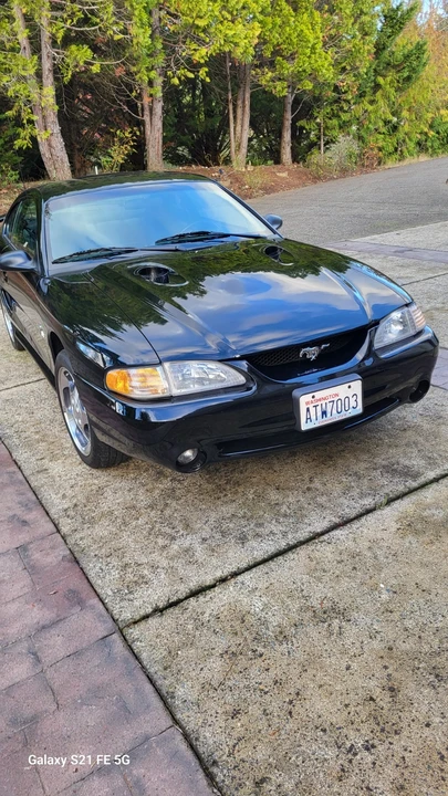 1996 Ford SN95 Mustang Cobra - Image 2 of 21