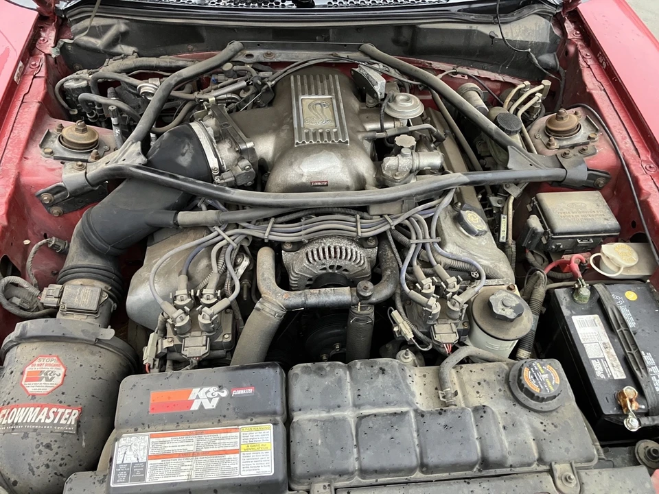 1996 Ford SN95 Mustang Cobra - Image 7 of 7
