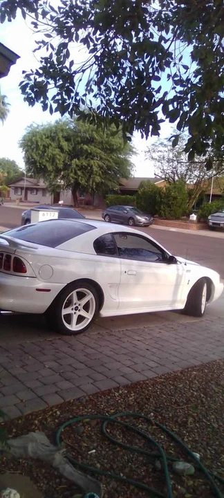 1996 Ford SN95 Mustang Cobra - Image 5 of 5