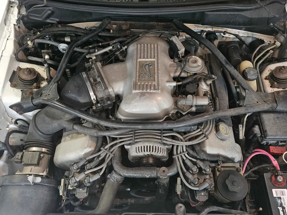 1996 Ford SN95 Mustang Cobra - Image 5 of 5