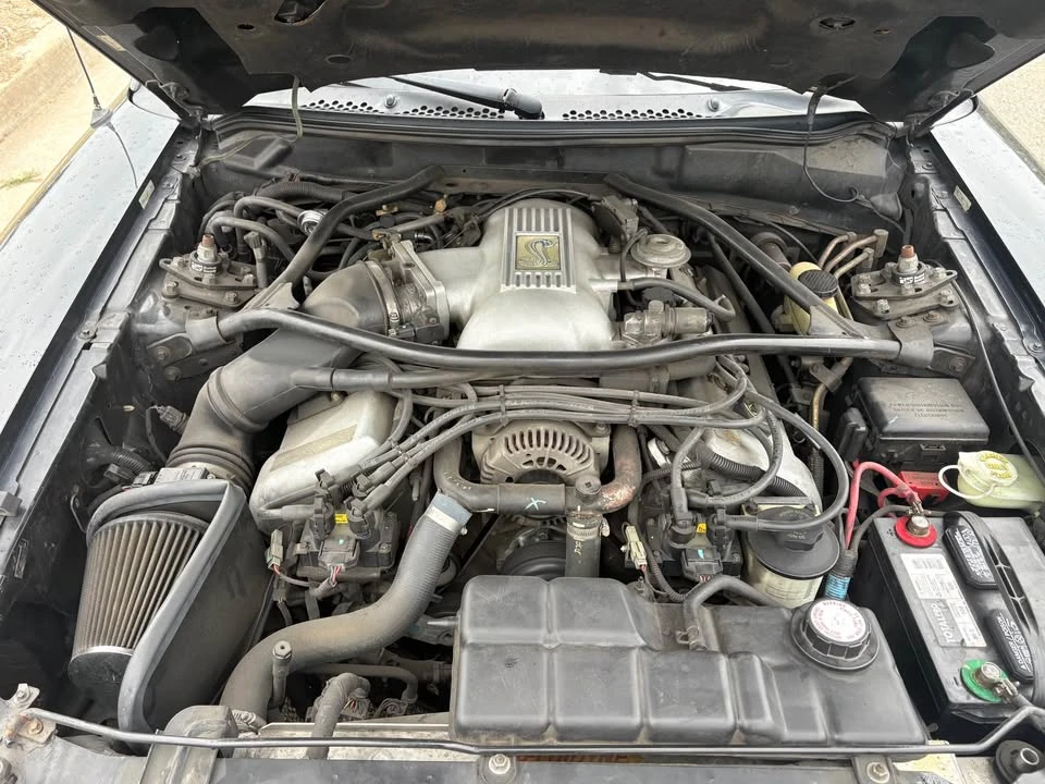 1996 Ford SN95 Mustang Cobra - Image 10 of 12
