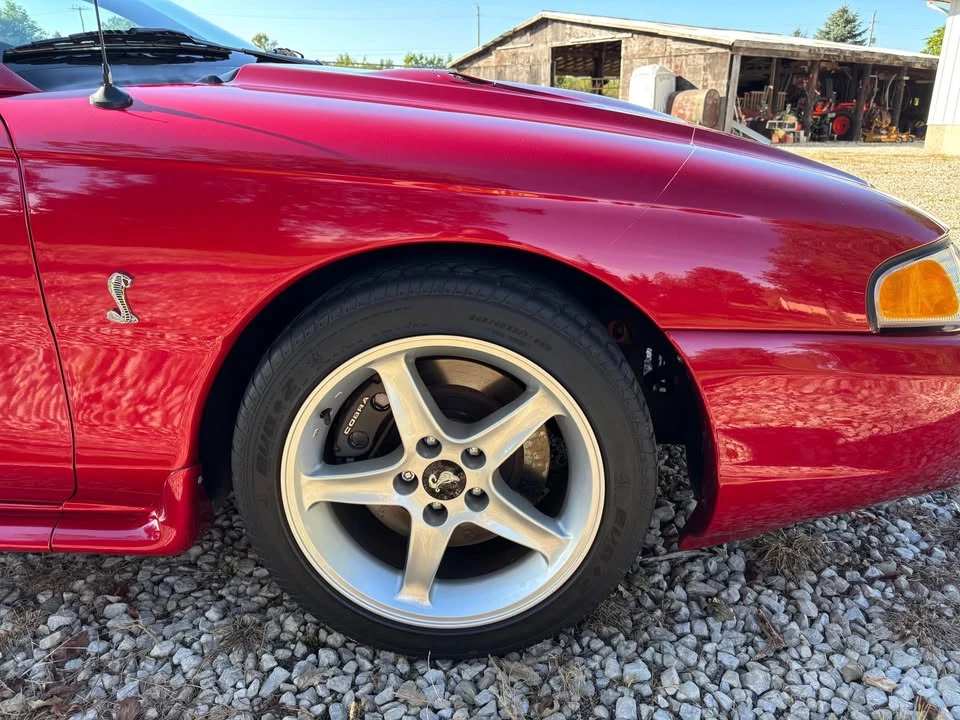 1996 Ford SN95 Mustang Cobra - Image 16 of 20