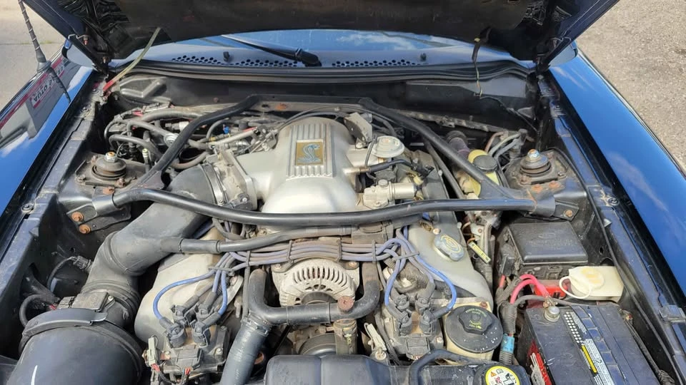 1996 Ford SN95 Mustang Cobra - Image 7 of 11