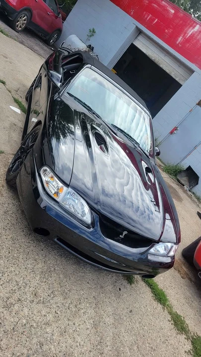 1996 Ford SN95 Mustang Cobra - Image 2 of 11