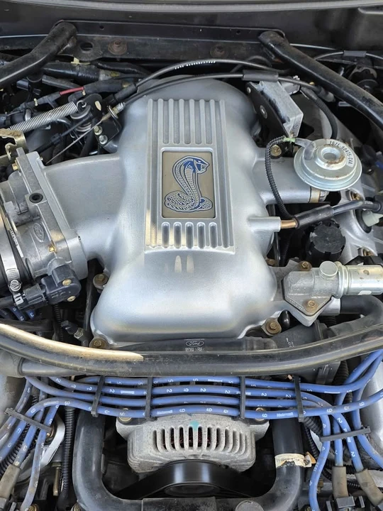 1996 Ford SN95 Mustang Cobra - Image 16 of 20