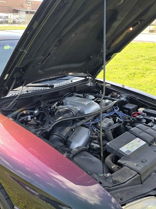 1996 Ford SN95 Mustang Cobra - Image 18 of 20