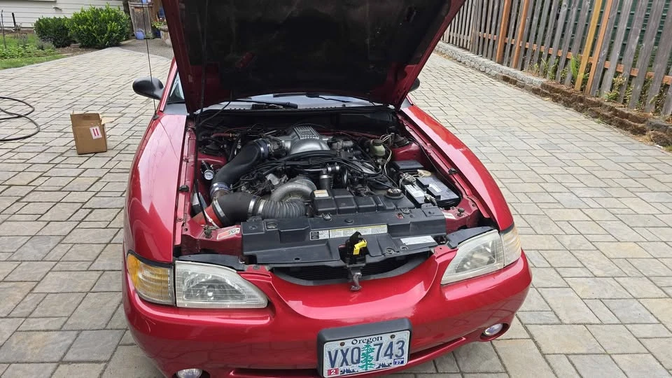 1996 Ford SN95 Mustang Cobra - Image 13 of 13