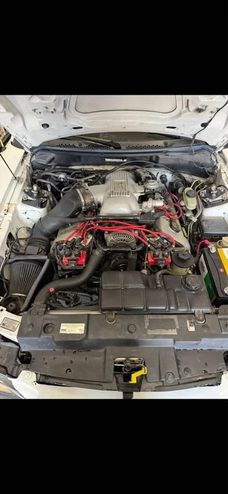 1996 Ford SN95 Mustang Cobra - Image 11 of 15