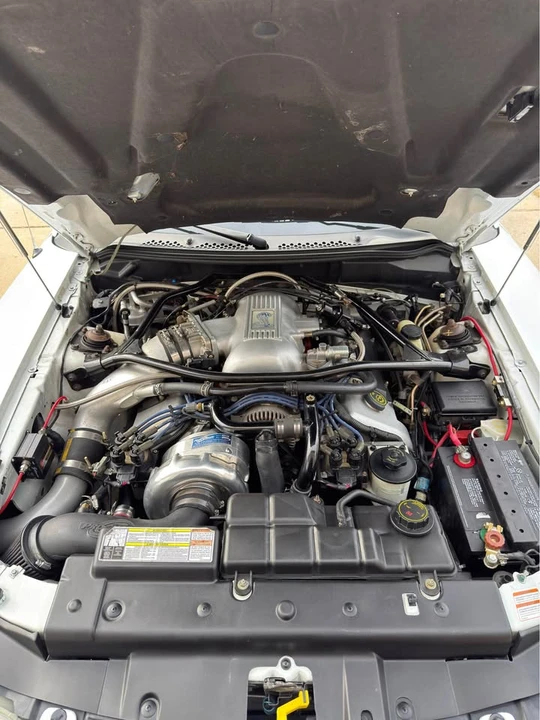 1996 Ford SN95 Mustang Cobra - Image 6 of 8