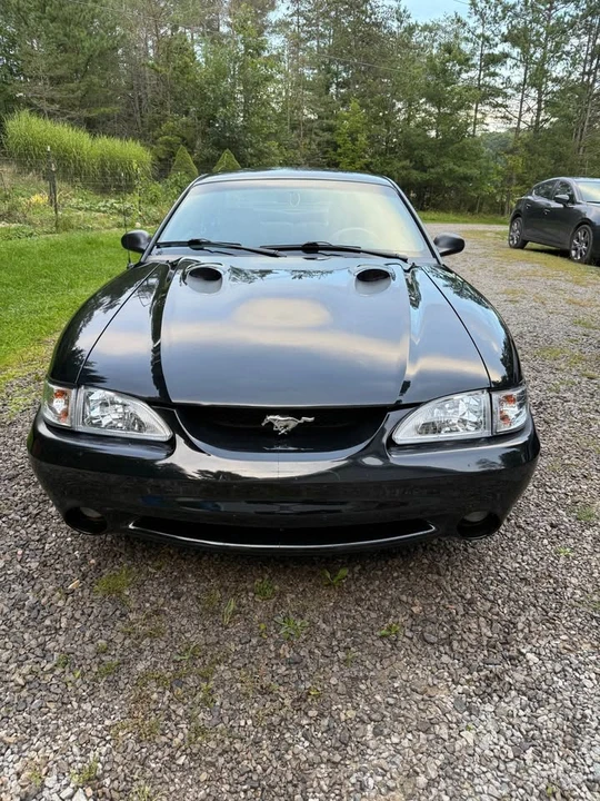 1996 Ford SN95 Mustang Cobra - Image 6 of 20