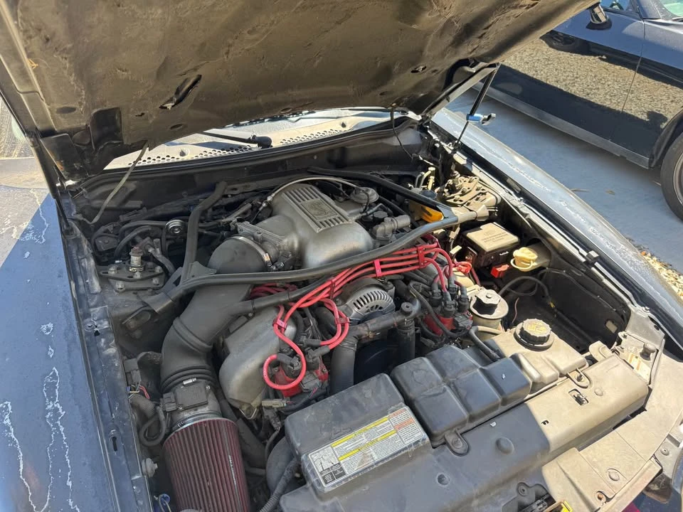 1996 Ford SN95 Mustang Cobra - Image 14 of 15