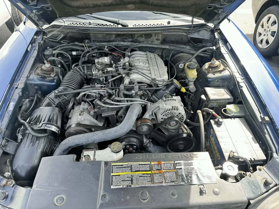 1996 Ford SN95 Mustang - Image 16 of 20