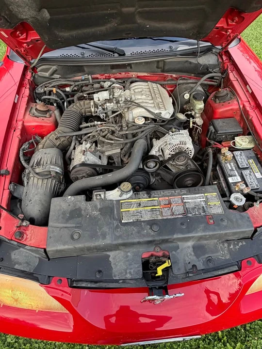 1996 Ford SN95 Mustang - Image 6 of 15