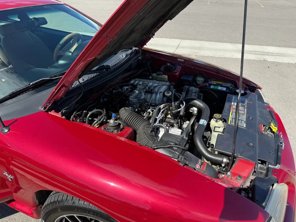 1996 Ford SN95 Mustang - Image 11 of 15