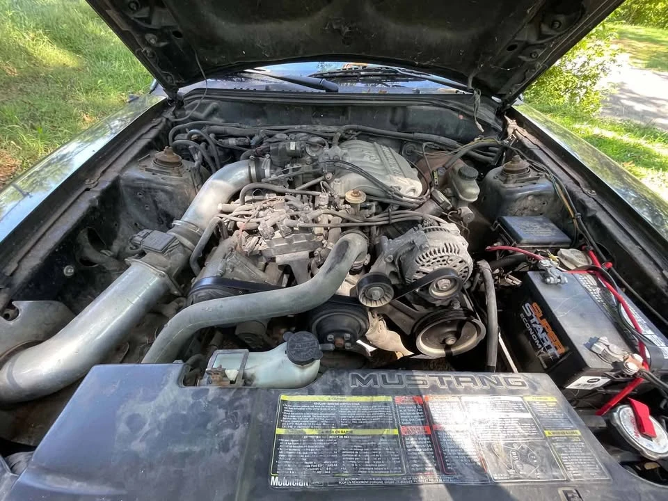 1996 Ford SN95 Mustang - Image 6 of 11