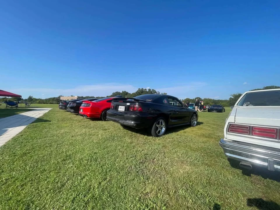 1996 Ford SN95 Mustang - Image 5 of 11