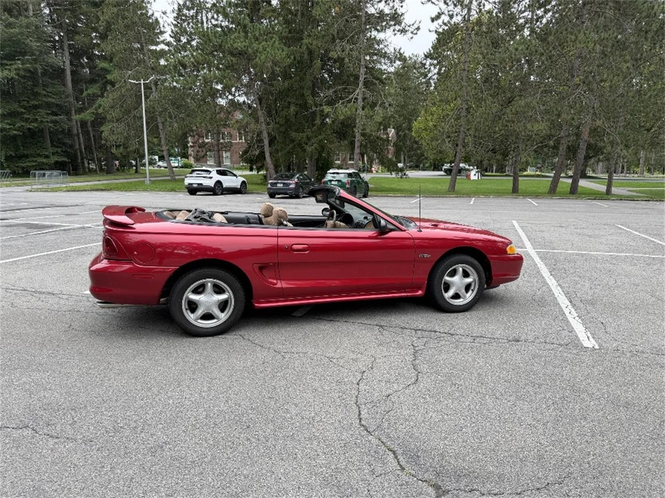 1996 Ford SN95 Mustang - Image 12 of 31