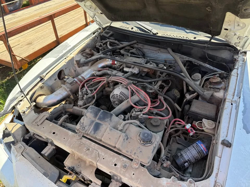 1996 Ford SN95 Mustang - Image 3 of 9