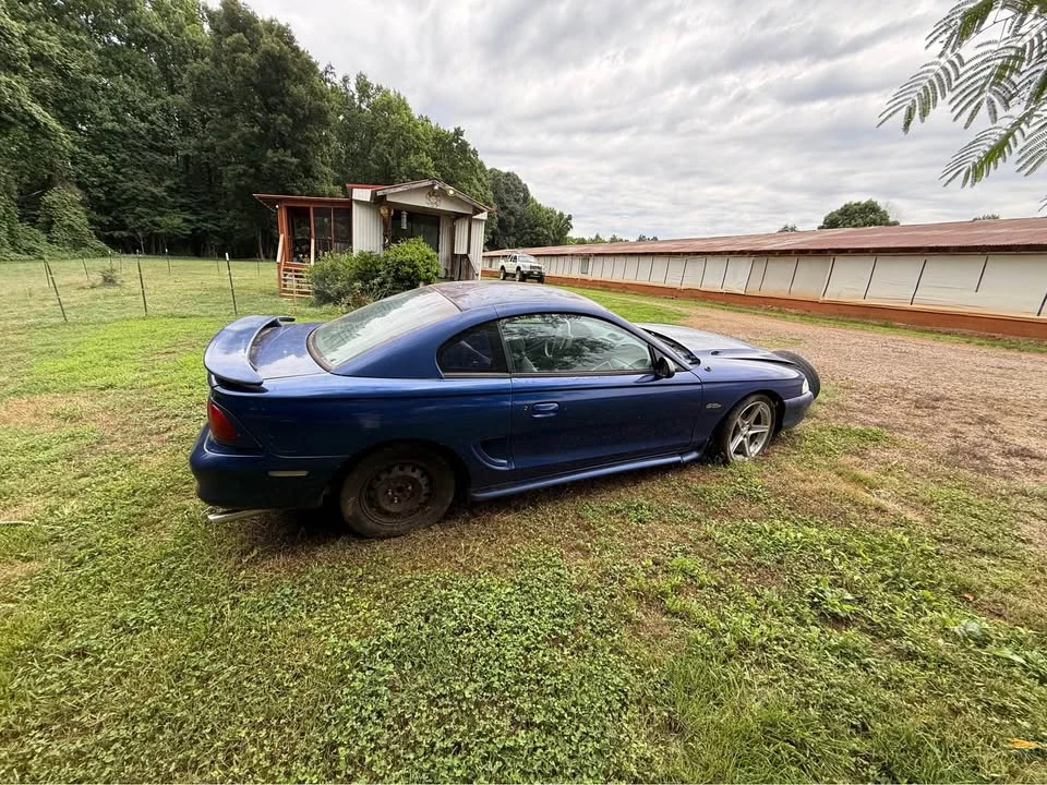 1996 Ford SN95 Mustang - Image 4 of 14