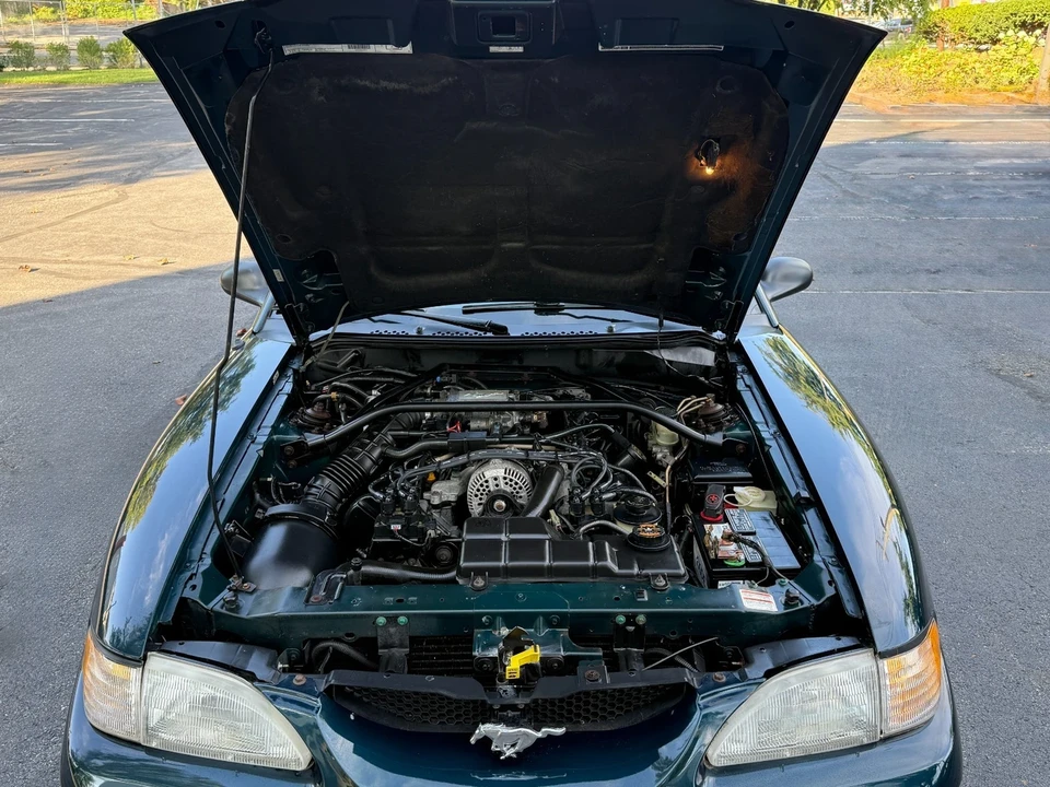 1996 Ford SN95 Mustang - Image 9 of 21