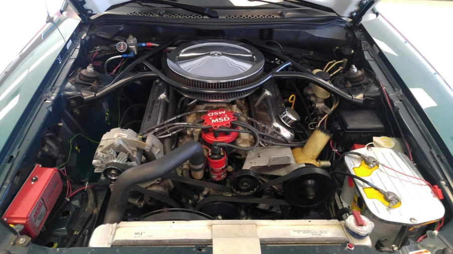 1996 Ford SN95 Mustang - Image 6 of 6