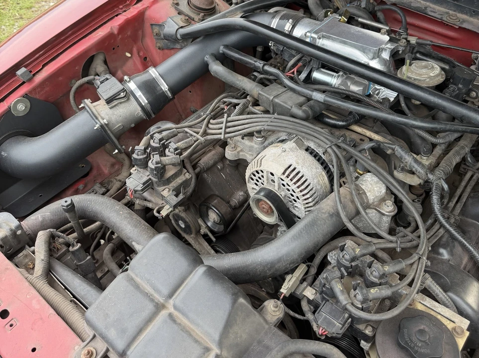 1996 Ford SN95 Mustang - Image 8 of 8