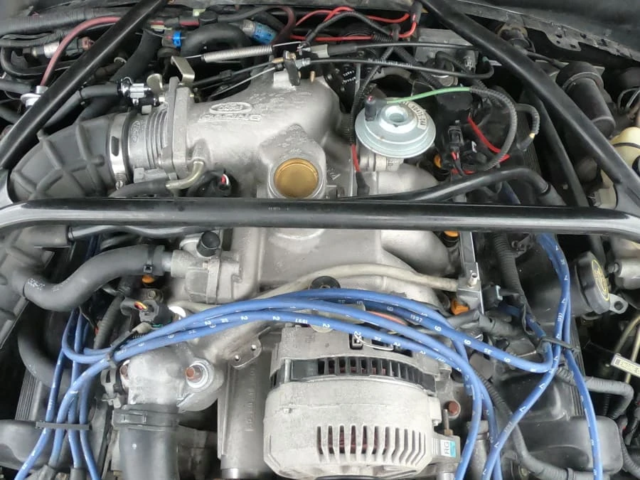 1996 Ford SN95 Mustang - Image 6 of 8
