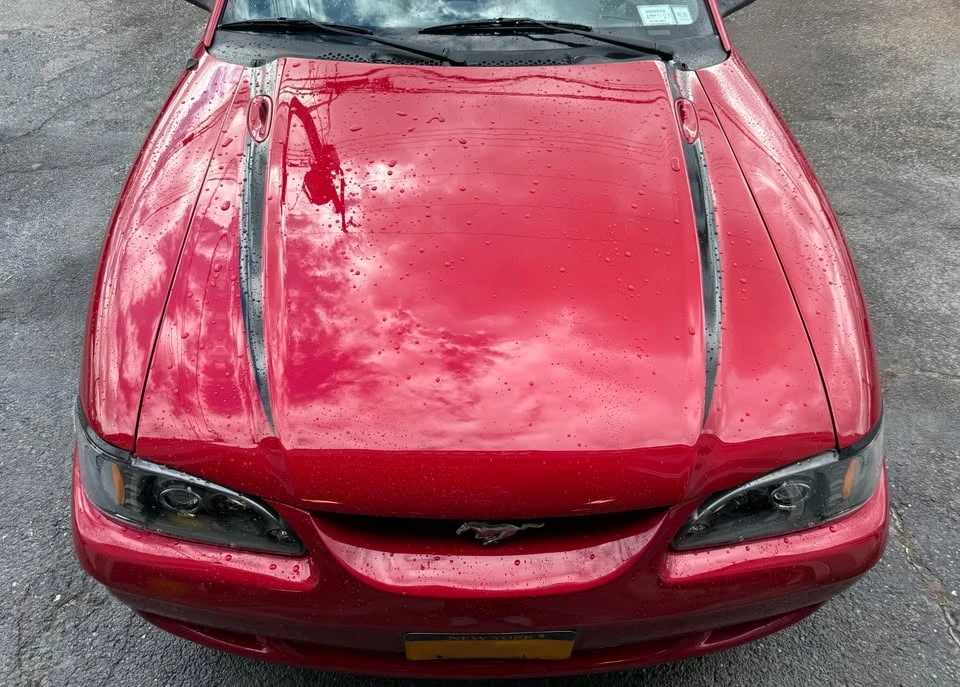 1996 Ford SN95 Mustang - Image 3 of 15
