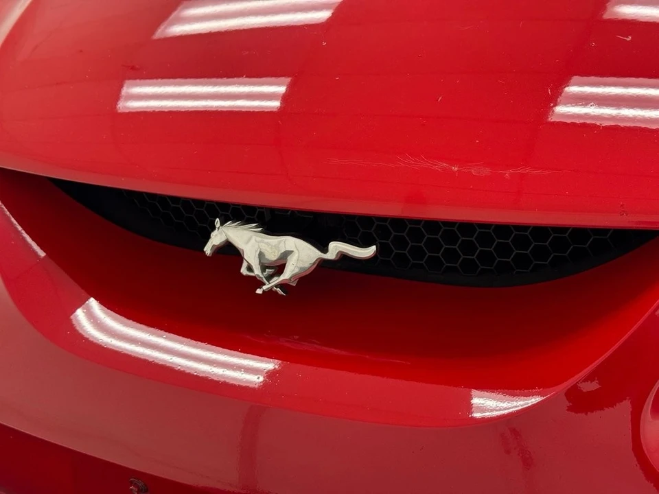 1996 Ford SN95 Mustang - Image 12 of 12