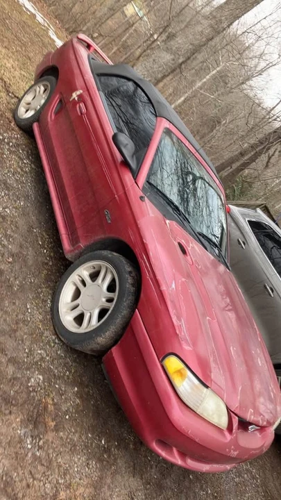 1996 Ford SN95 Mustang - Image 6 of 8