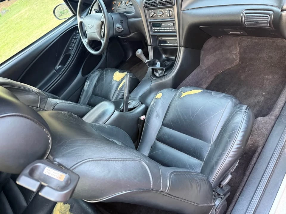 1996 Ford SN95 Mustang - Image 11 of 12
