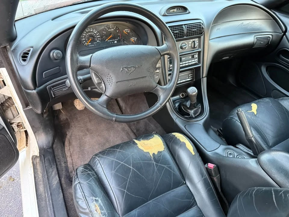 1996 Ford SN95 Mustang - Image 8 of 12