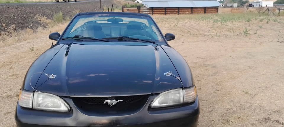1996 Ford SN95 Mustang - Image 9 of 10