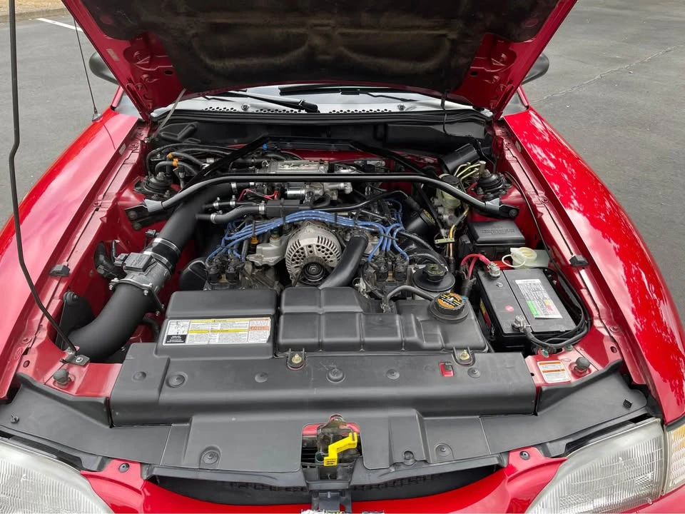 1996 Ford SN95 Mustang - Image 11 of 17