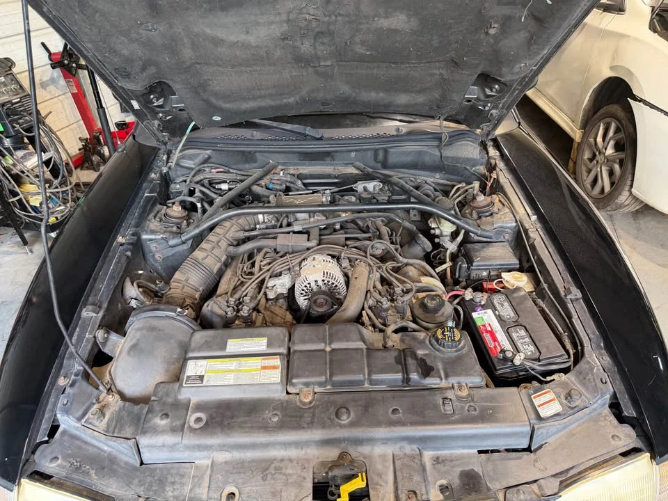 1996 Ford SN95 Mustang - Image 3 of 6