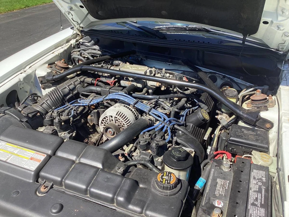 1996 Ford SN95 Mustang - Image 7 of 7