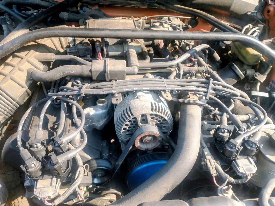 1996 Ford SN95 Mustang - Image 5 of 6