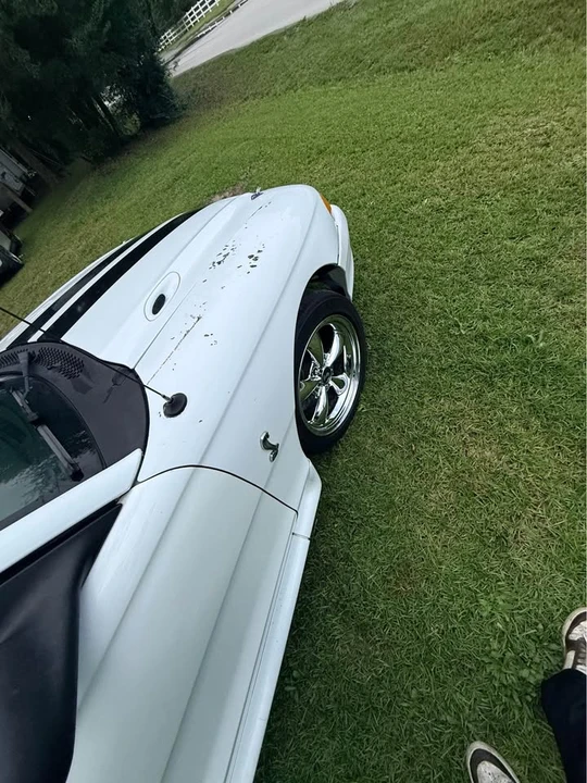 1996 Ford SN95 Mustang - Image 5 of 16