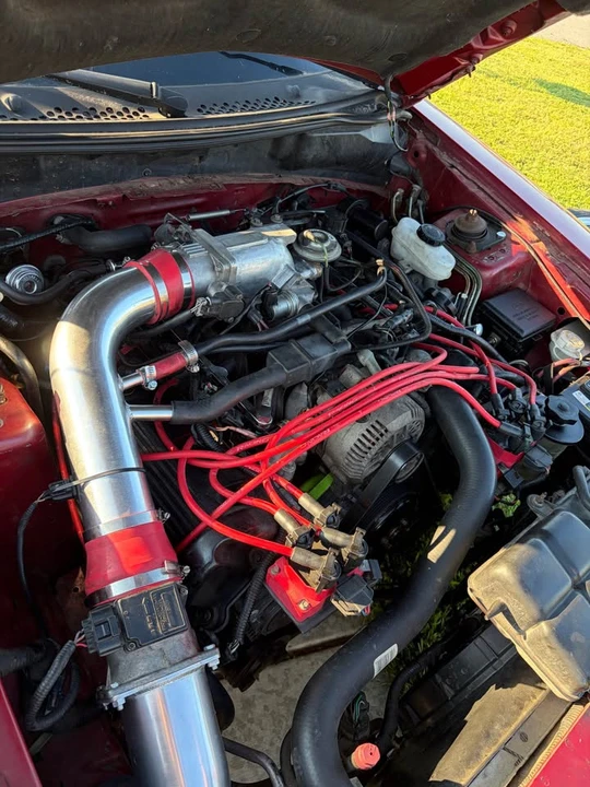 1996 Ford SN95 Mustang - Image 2 of 11