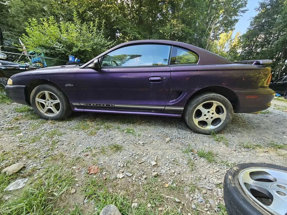 1996 Ford SN95 Mustang - Image 5 of 11