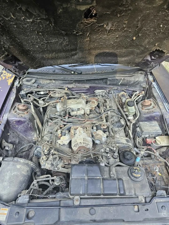 1996 Ford SN95 Mustang - Image 10 of 11