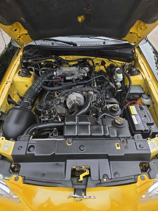1996 Ford SN95 Mustang - Image 6 of 14
