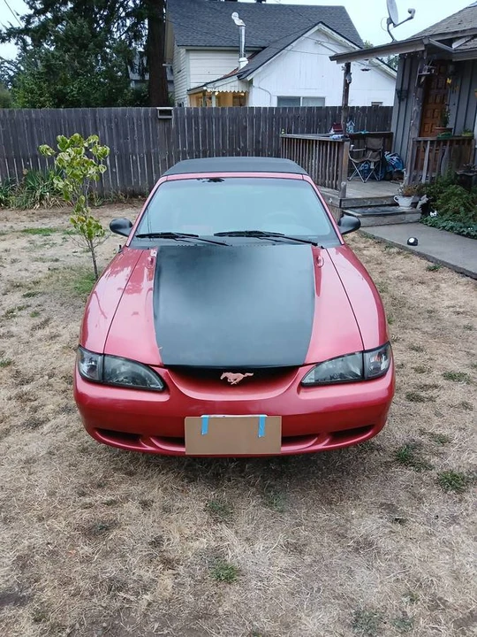 1996 Ford SN95 Mustang - Image 11 of 24
