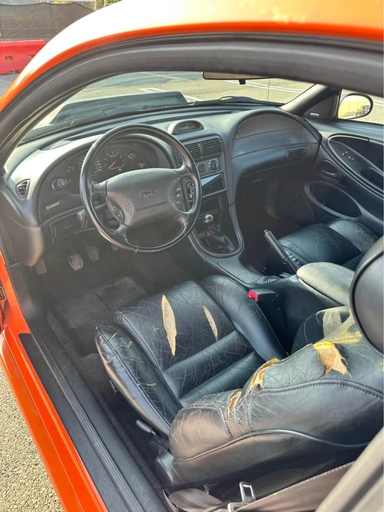 1996 Ford SN95 Mustang - Image 10 of 10